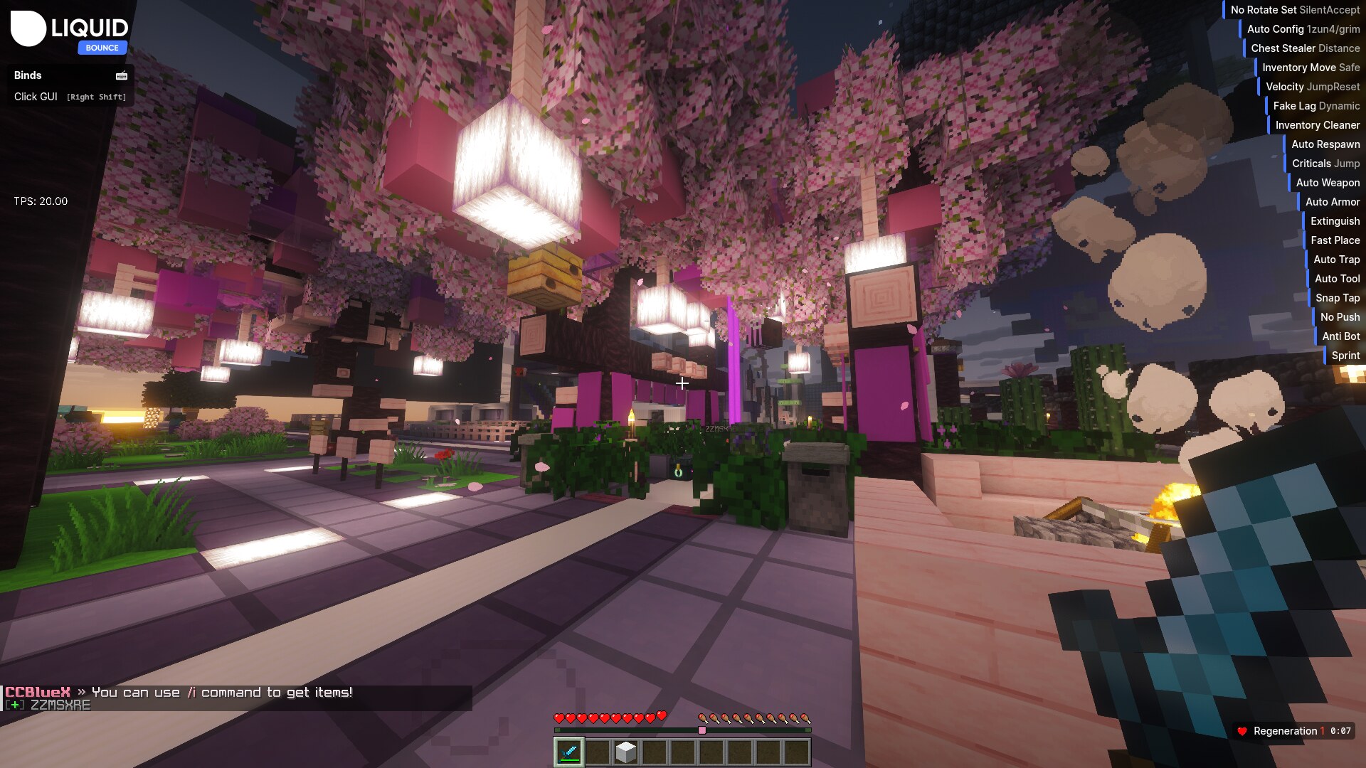 KawaiiNekoLolis on our test server with a hosted IP